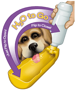 gulpy pet water dispenser